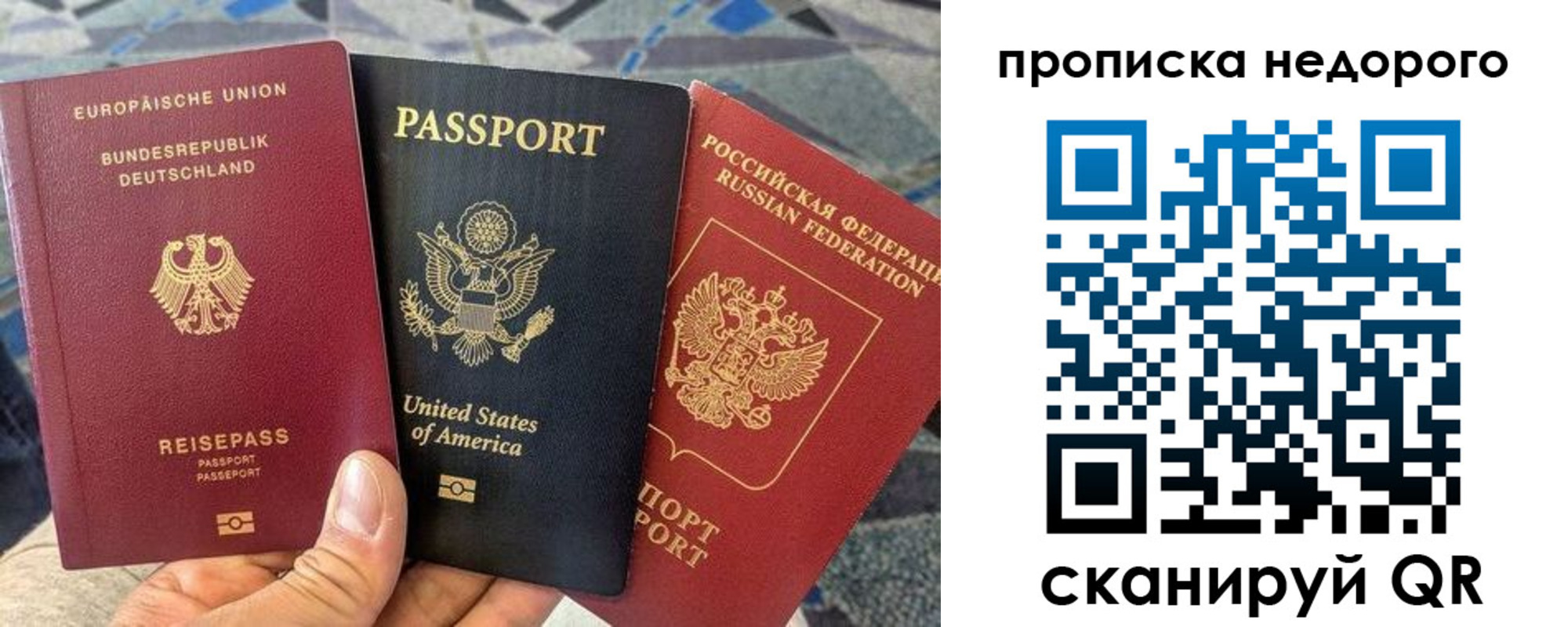 где прописаться в Ленинградской области